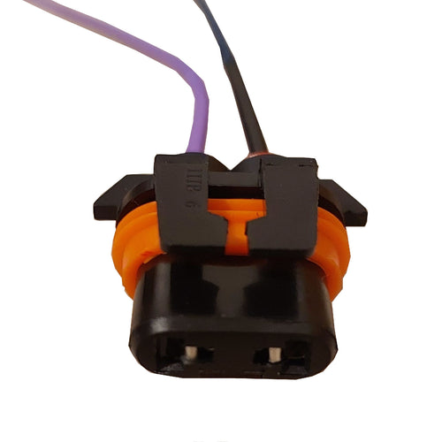 2 X Enchufe Sócate para Ampolleta HB3, HB4, 905, 906, 9012, 9145 Cable Grueso Americano