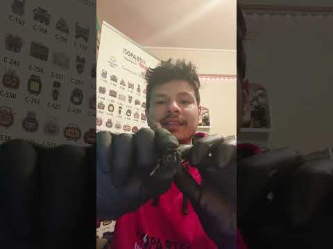 Connector Plug Injector and Rear ABS Sensor Toyota, Tundra, Yaris, Belta and more.