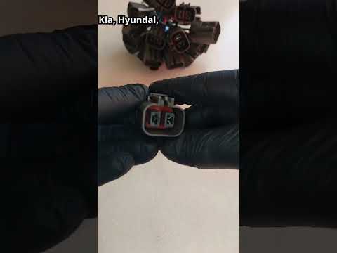 Connector Plug Regulator Alternator Hyundai, Nissan V16, Getz and Mitsubishi, Kia
